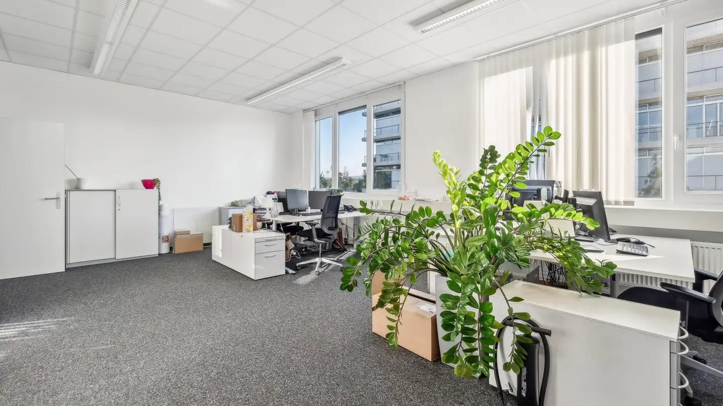 Bureau à louer - Hegenheimermattweg 183, 4123 Allschwil - Photo 2