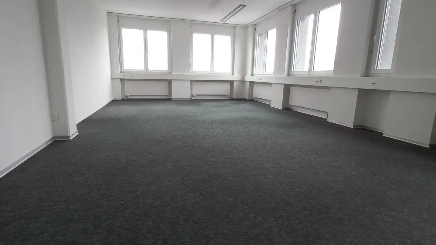 Bureau à louer - Hofwisenstrasse, 8260 Stein am Rhein - Photo 3