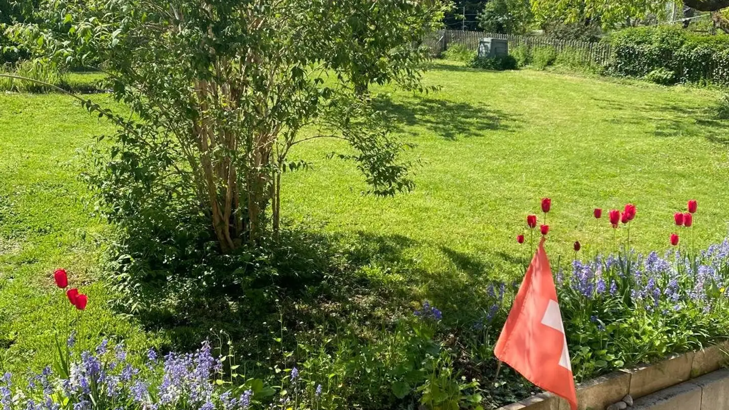 Maison individuelle à louer - Ob Der Gass 4, 8450 Andelfingen - Photo 2
