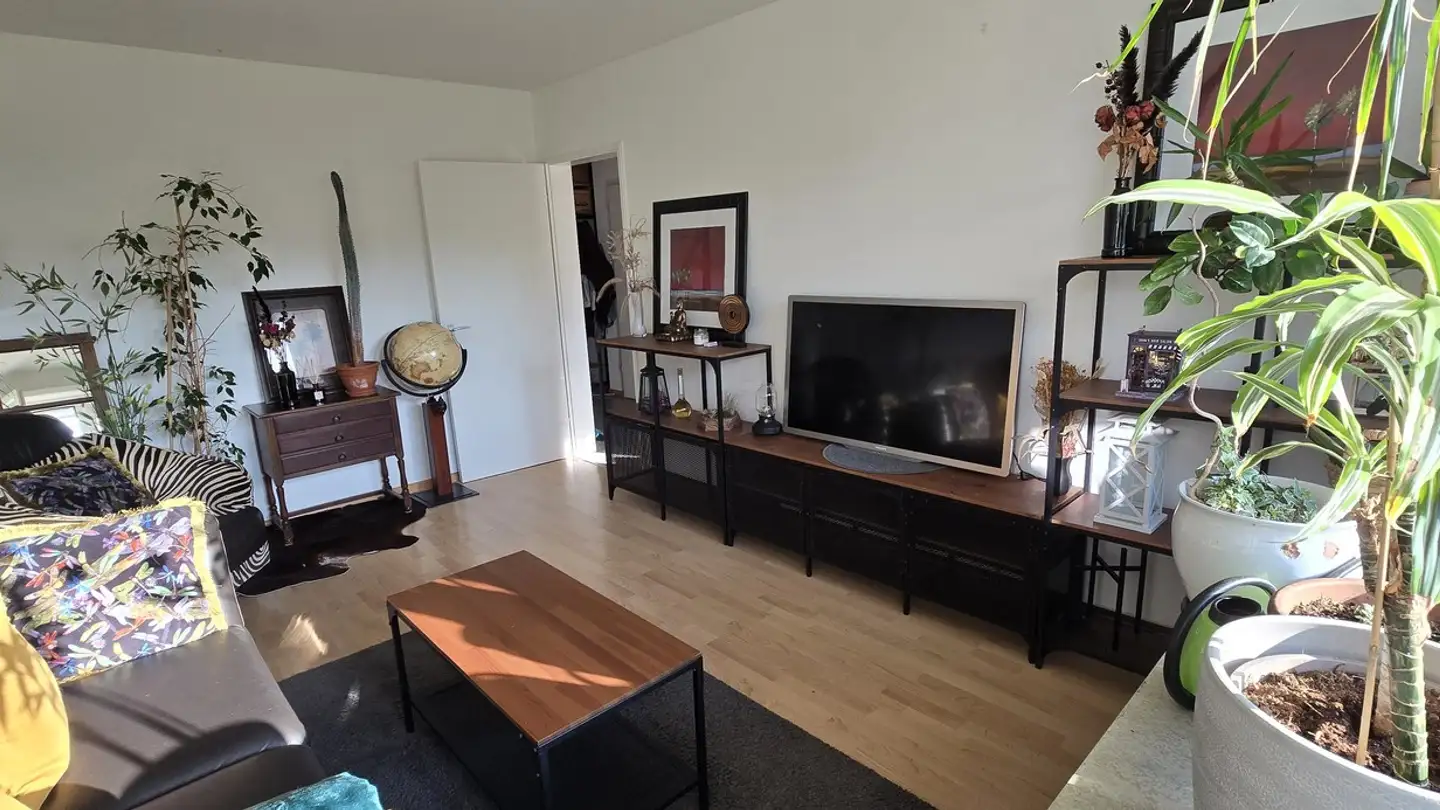 Wohnung mieten - Baslerstrasse 53, 4102 Binningen - Foto 2