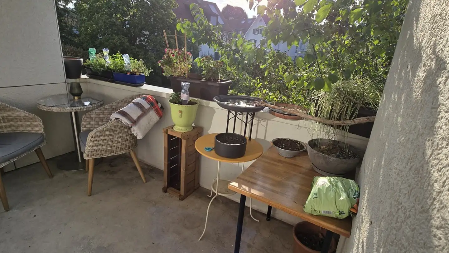 Wohnung mieten - Baslerstrasse 53, 4102 Binningen - Foto 3