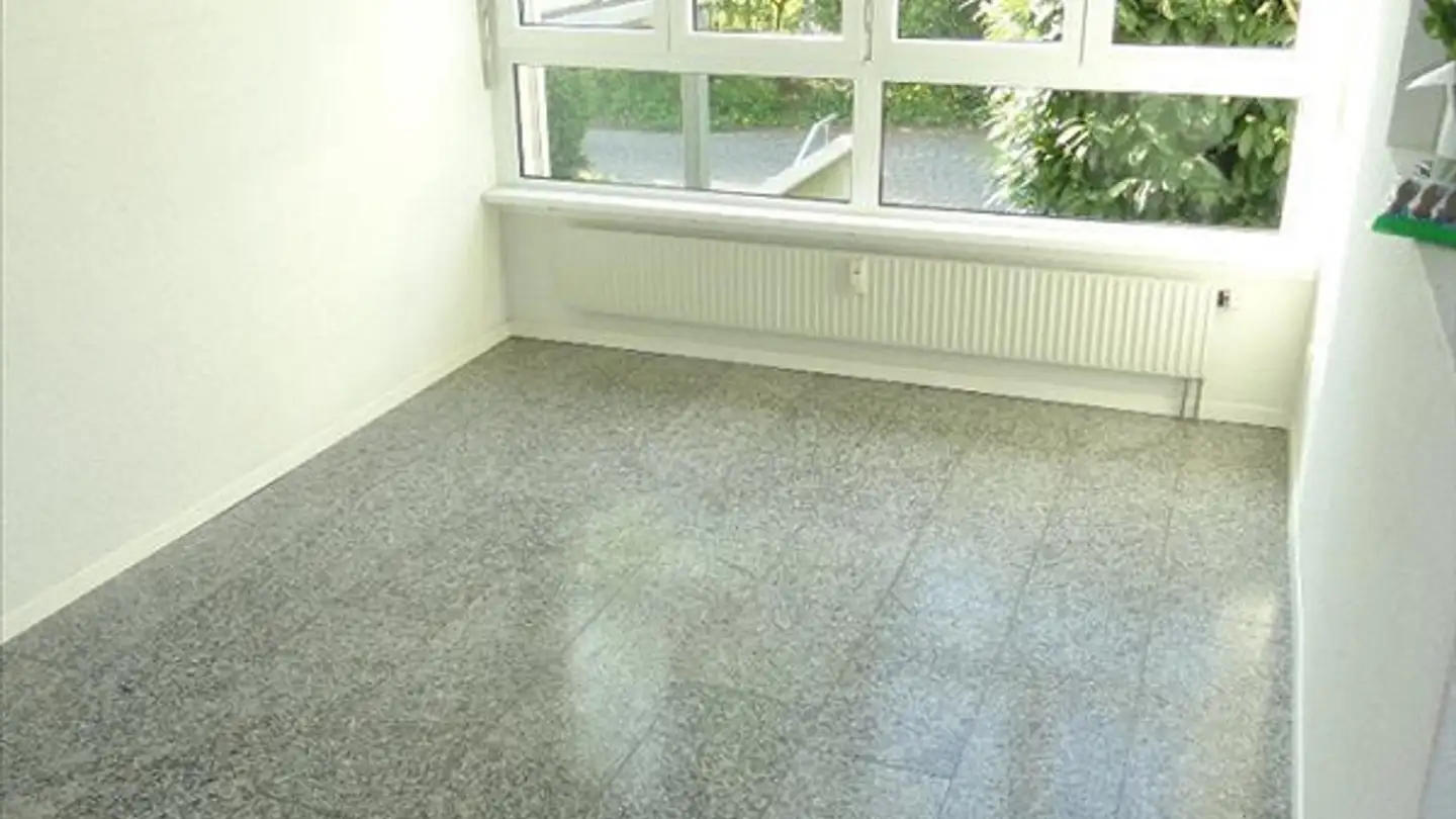 Appartamento in affitto - Engelhardstrasse 60, 3280 Murten - Foto 2