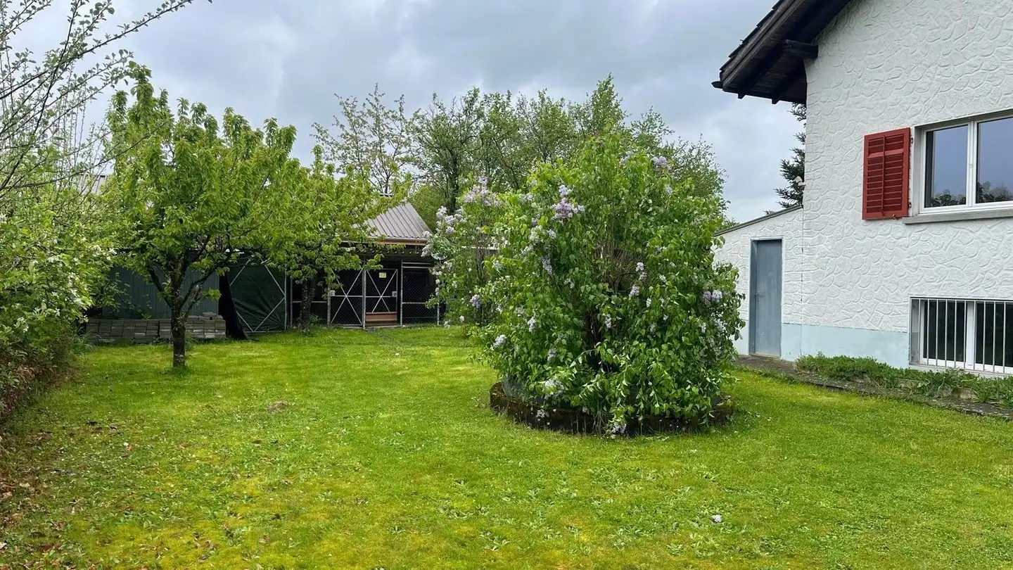 Casa singola in affitto - 8610 Uster - Foto 2