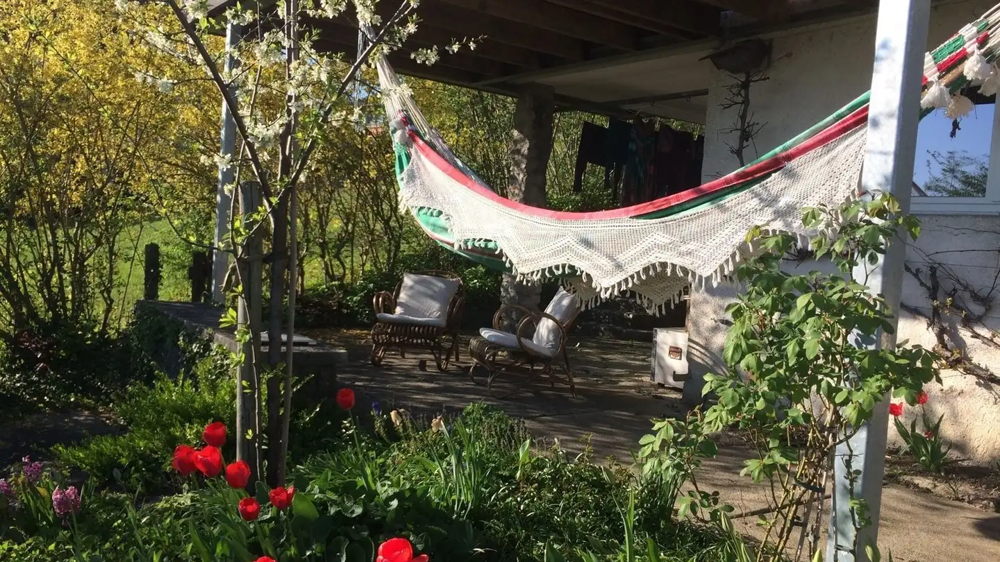 Chambre à louer - Rütiweg 15, 5103 Möriken AG - Photo 4