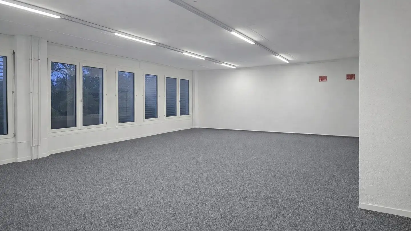 Commerciale in affitto - Einsiedlerstrasse 533, 8810 Horgen - Foto 2