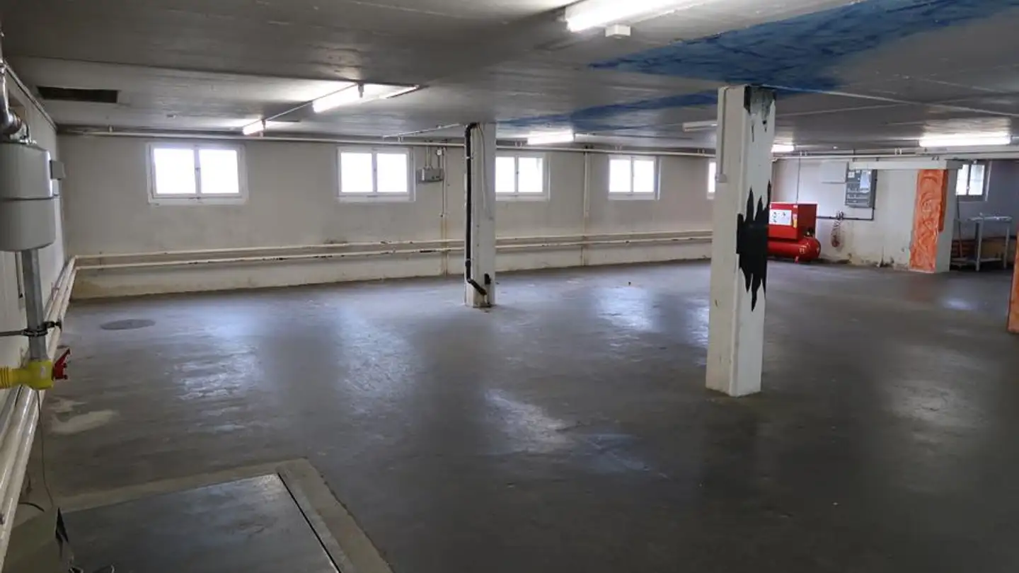 Commerciale in affitto - Krebsenweg 4, 5040 Schöftland - Photo 2