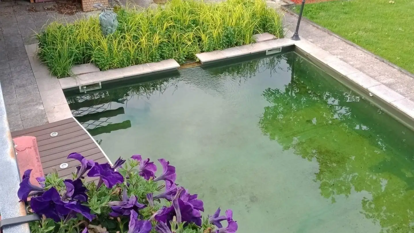 Appartamento in affitto - Juchrainstrasse 28, 1712 Tafers - Foto 2