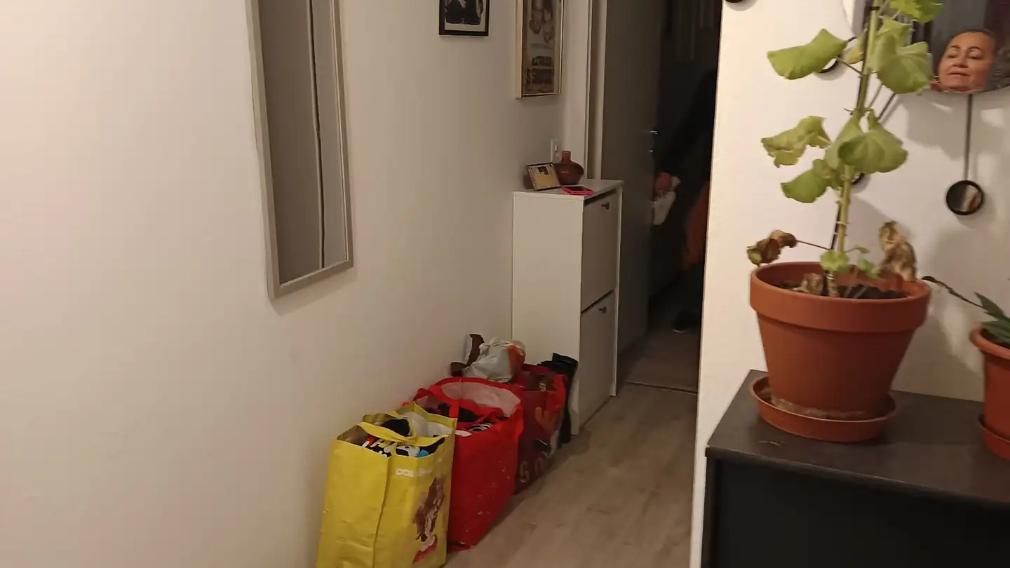 Appartement à louer - Via Alla Bozzoreda 47, 6963 Pregassona