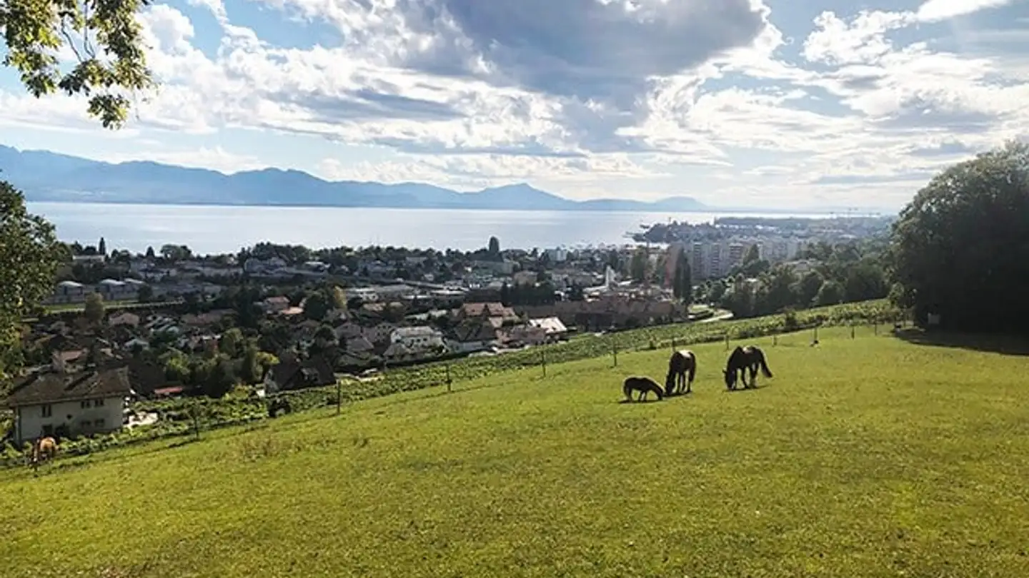 Villa for sale - 1110 Morges