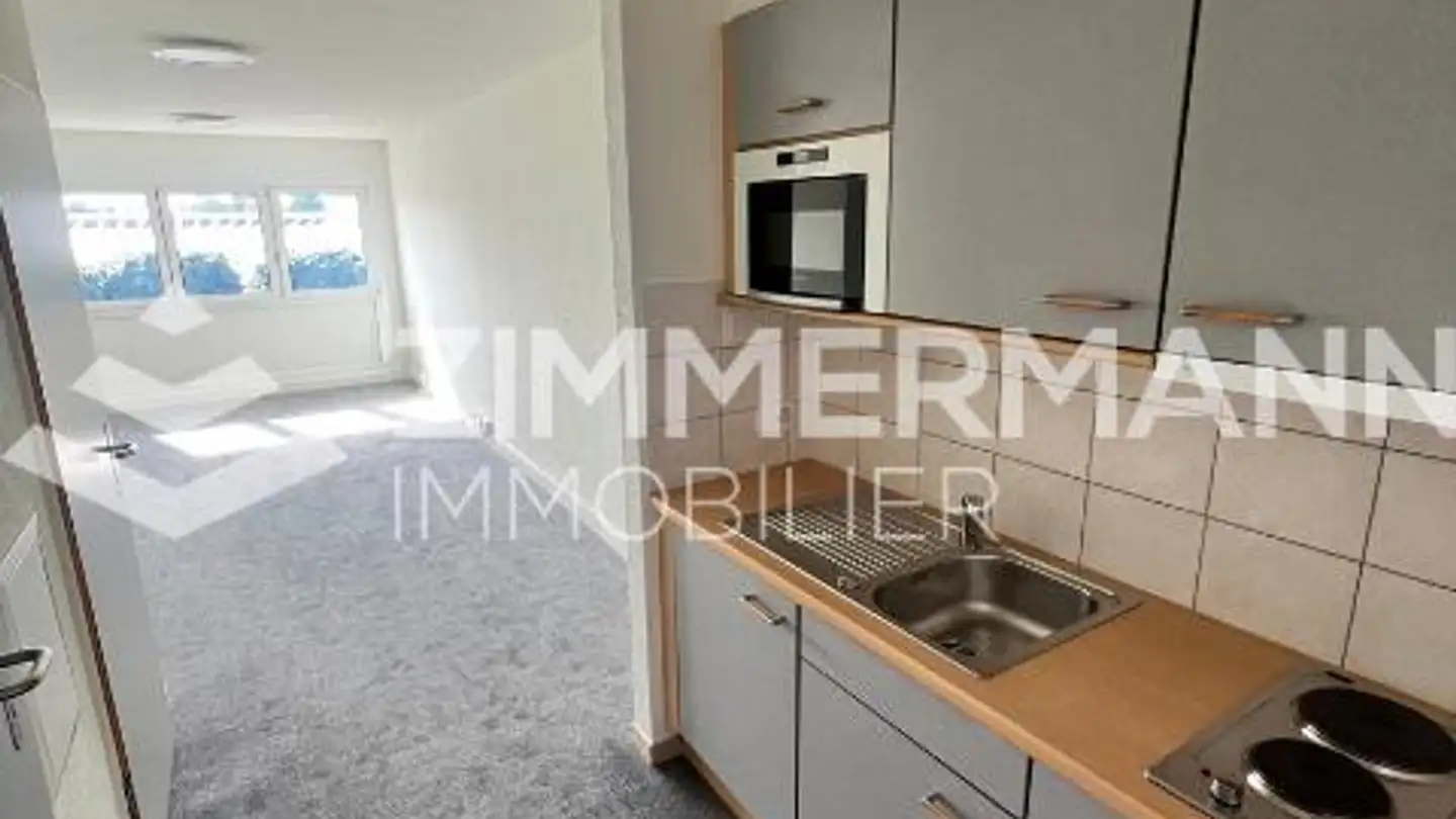 Commercial for rent - Rue De Riant-Coteau, 1196 Gland