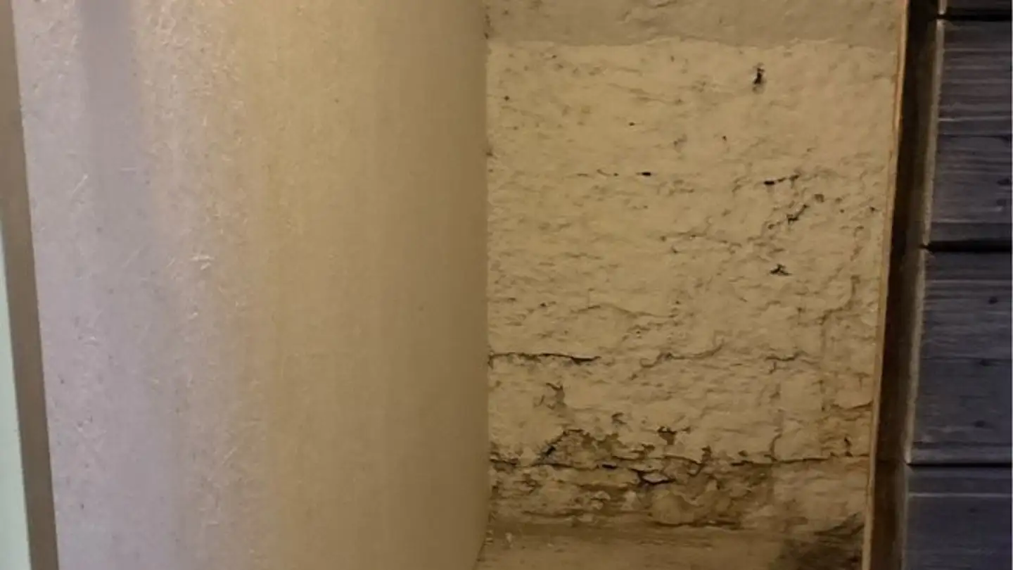 Appartamento in affitto - Moosgasse 11, 3274 Hermrigen - Foto 4