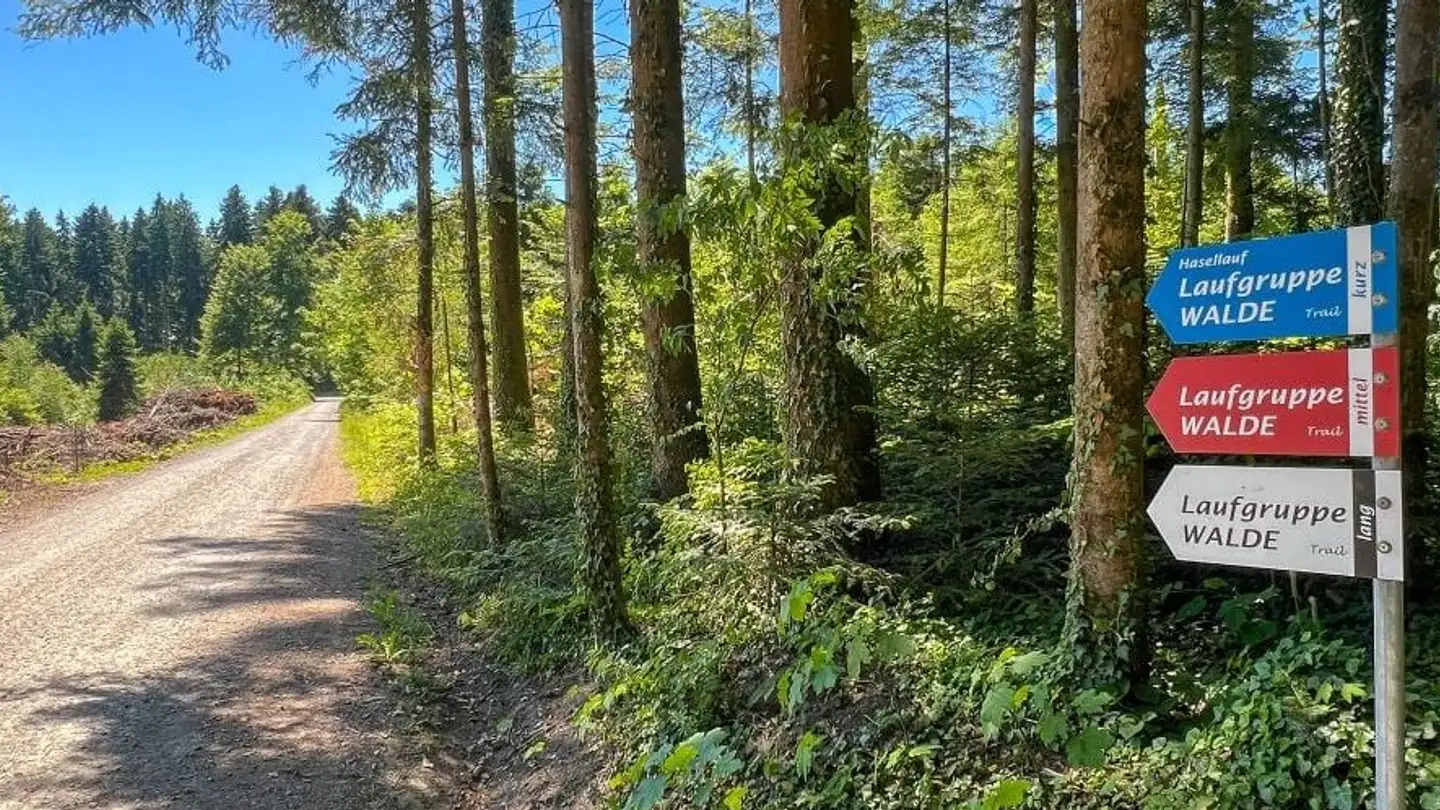 Doppelhaushälfte kaufen - Weiherweg, 5046 Walde AG - Foto 4