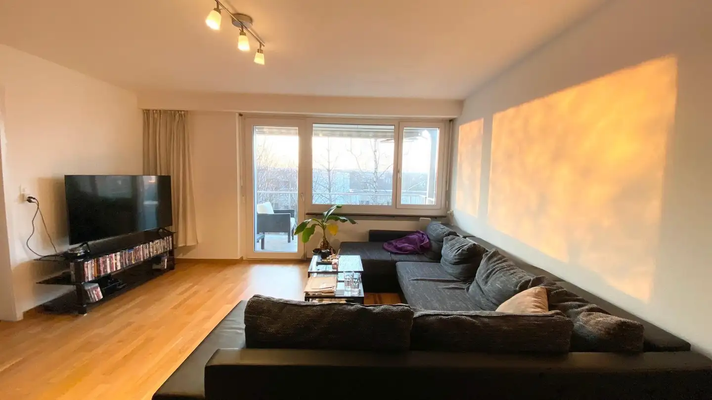 Chambre à louer - Rietgrabenstrasse, 8152 Opfikon