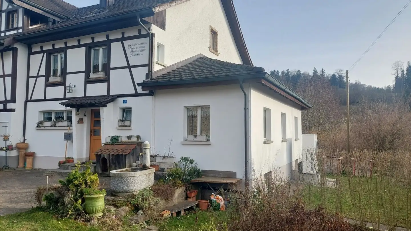 Single house for rent - Tobel, 8143 Stallikon - Photo 2
