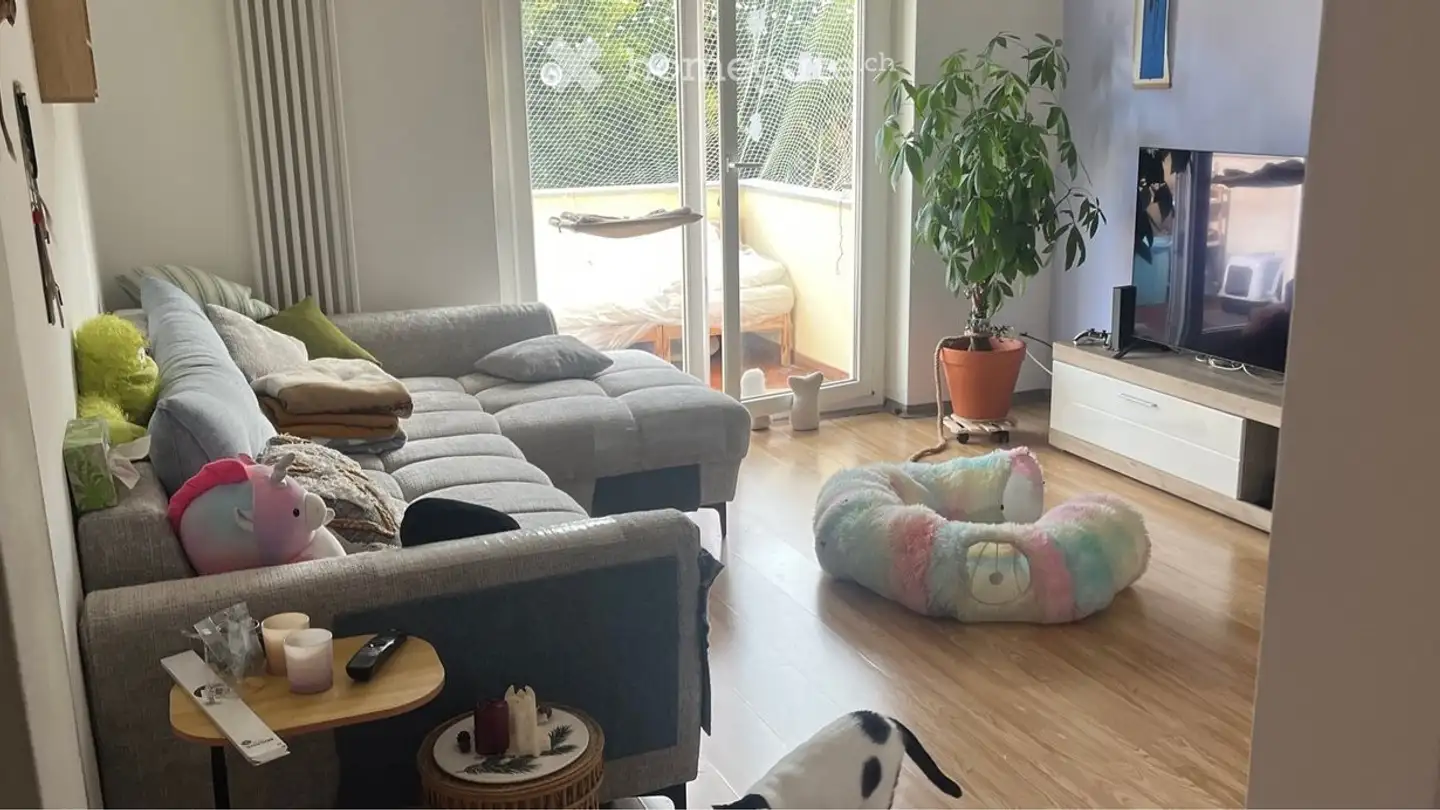 Apartment for rent - Via Angelo Nessi 42, 6600 Locarno