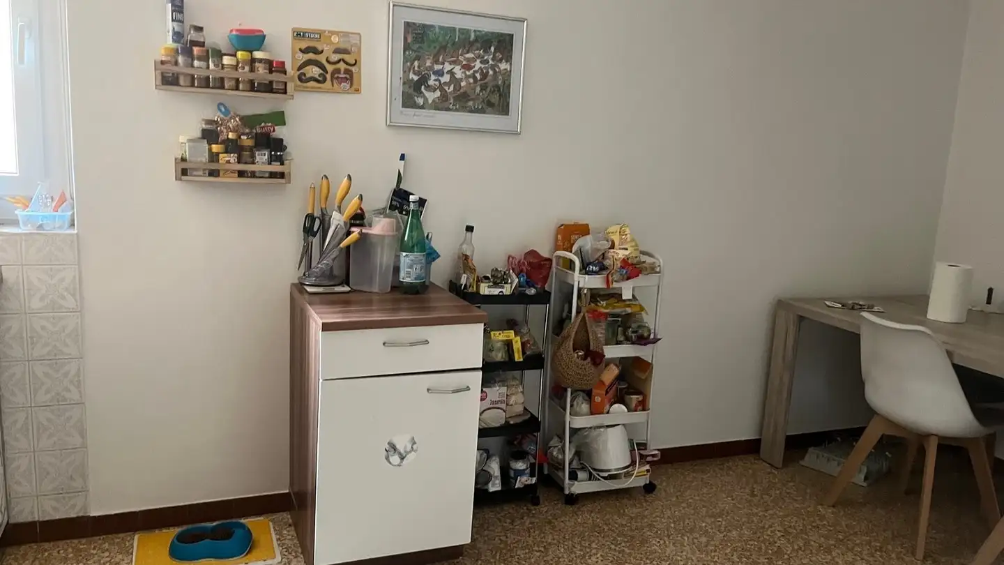 Apartment for rent - Via Angelo Nessi 42, 6600 Locarno - Photo 4