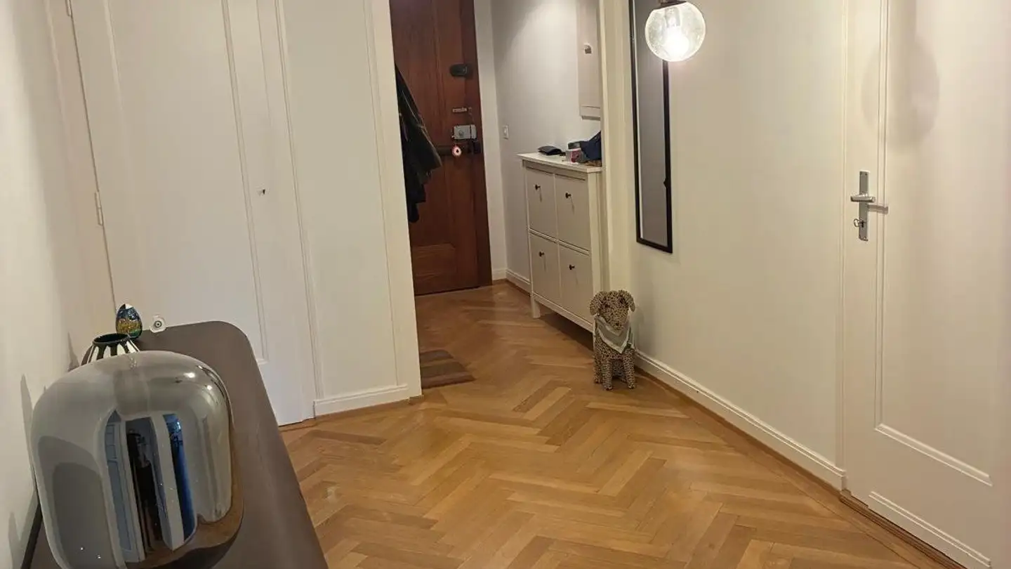 Appartamento in affitto - Avenue Blanc 36, 1202 Genève