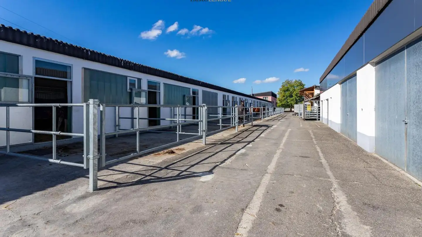Bürofläche kaufen - Freudenberg, 9542 Münchwilen TG - Foto 4