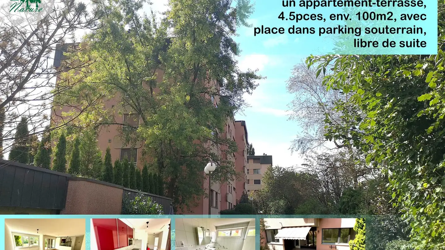 Appartamento a gradini in vendita - Rue Des Lilas 12, 2800 Delémont