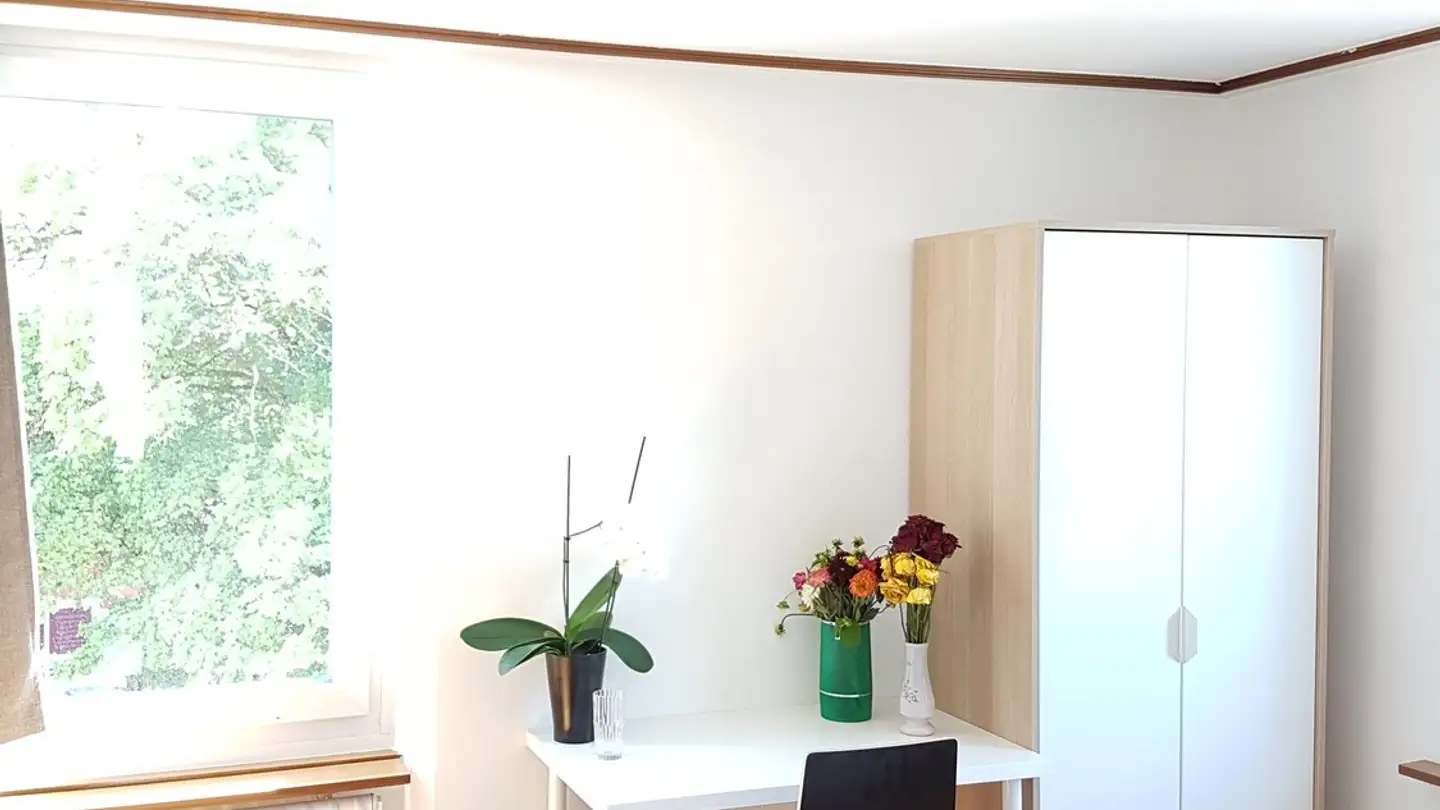 Single room for rent - Zürichstrasse, 8134 Adliswil - Photo 3