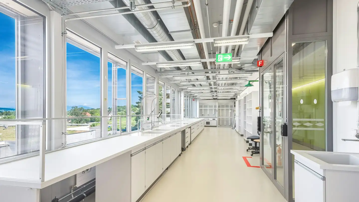 Spazio di archiviazione in affitto - Rue Peillonnex 36, 1225 Chêne-Bourg