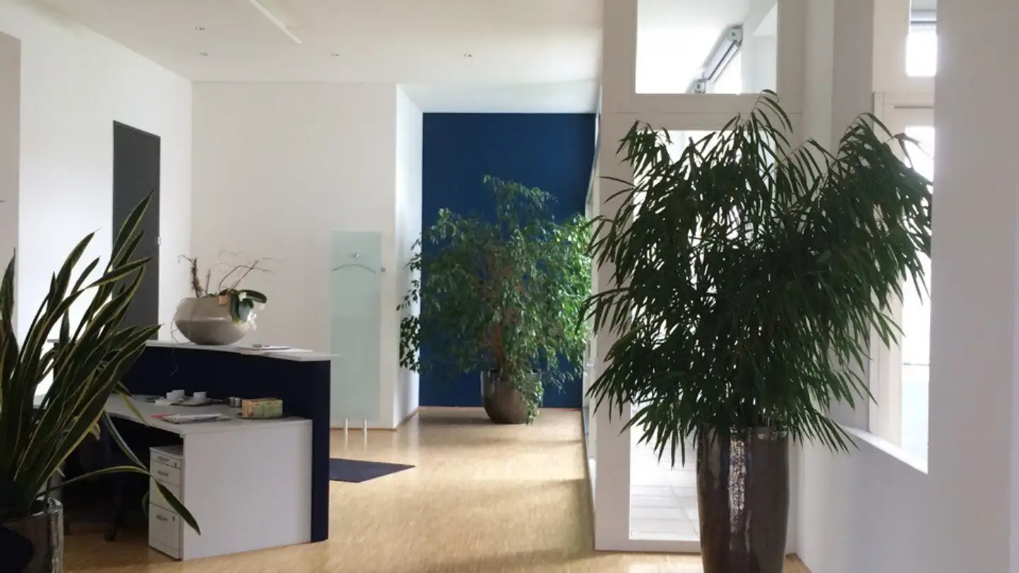 Bürofläche kaufen - Bahnhofstrasse 20, 8272 Ermatingen - Foto 3