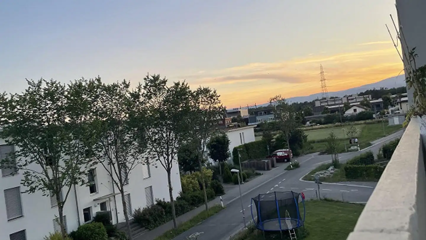 Wohnung mieten - Feldegg 31, 3250 Lyss