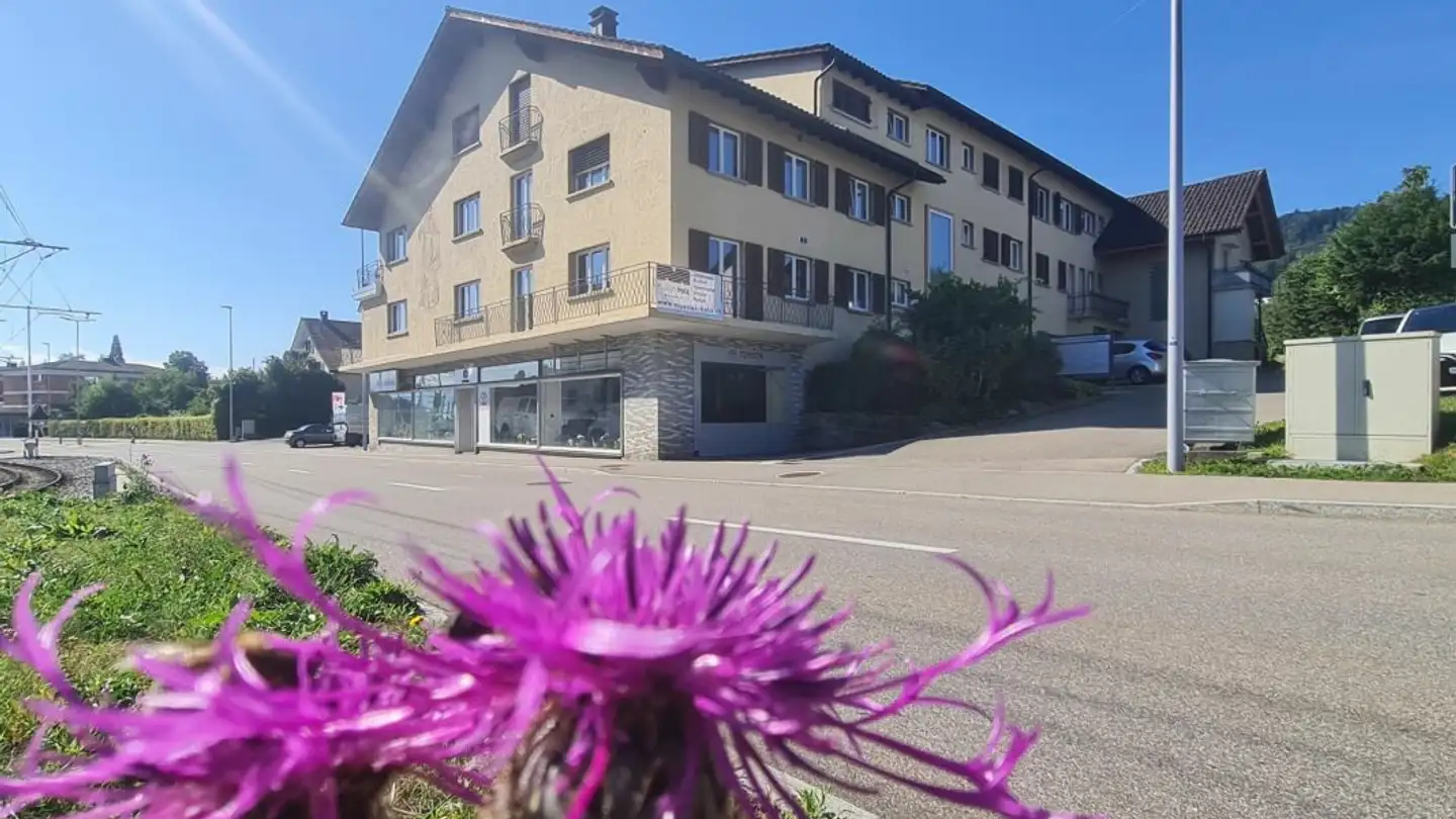 Appartamento in affitto - Forchstrasse 185a, 8132 Hinteregg