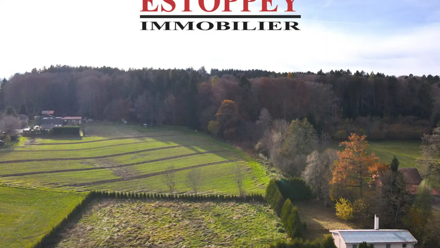 Einfamilienhaus kaufen - 1077 Servion