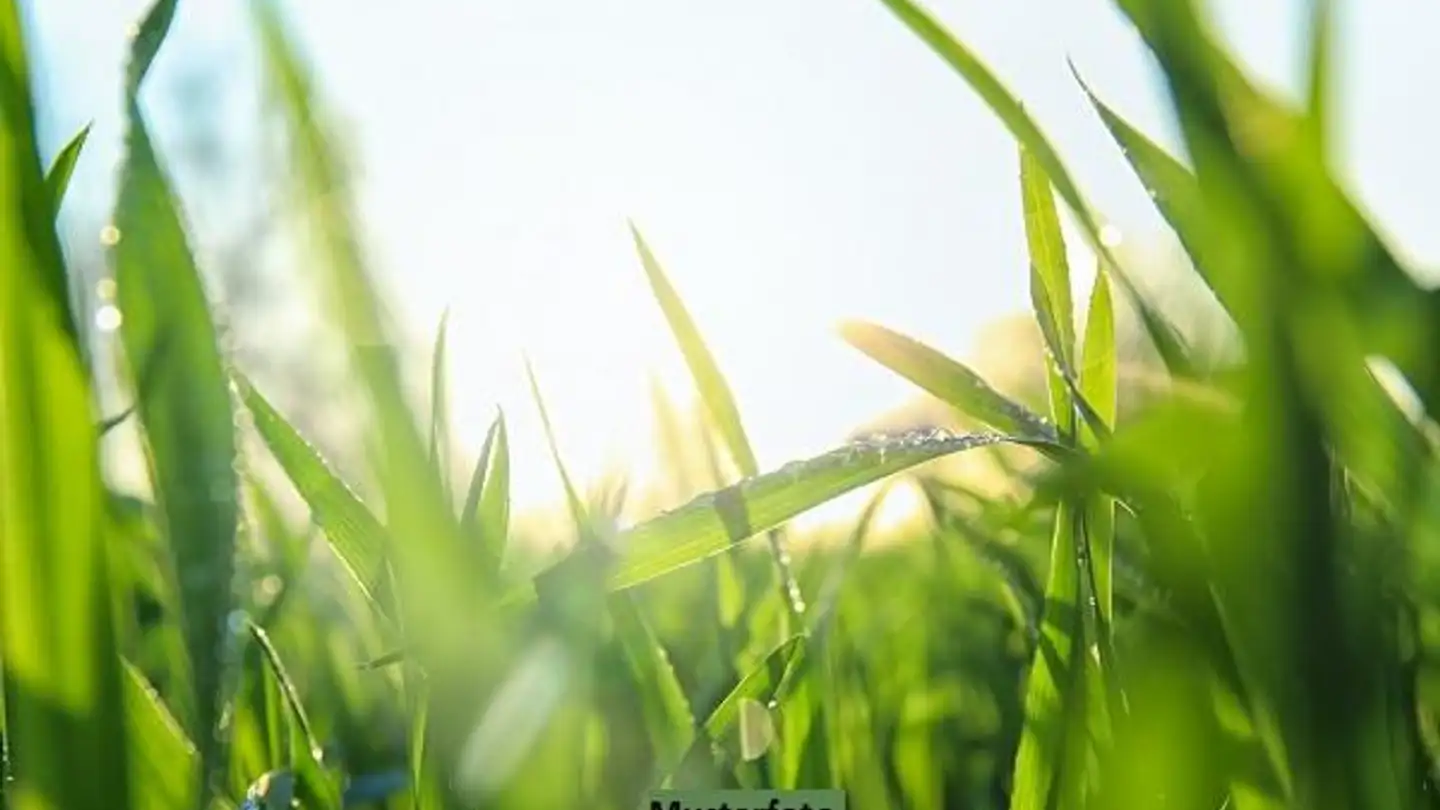 Bien immobilier à vendre - 1987 Hérémence