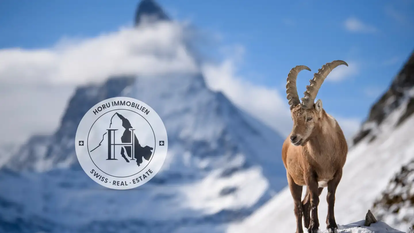 Bauland kaufen - 3920 Zermatt