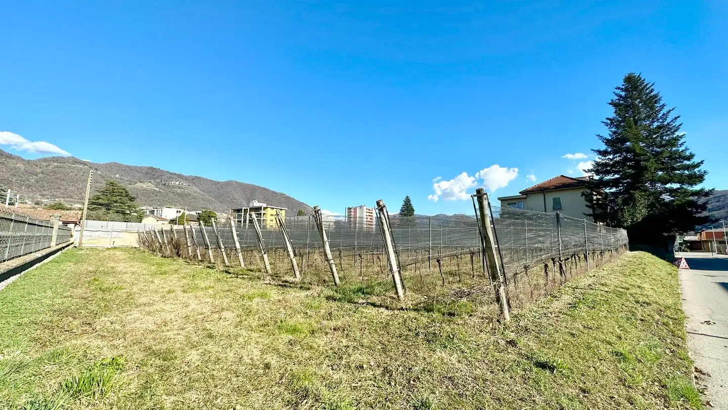 Constructible plot for sale - Via Vincenzo Vela, 6834 Morbio Inferiore