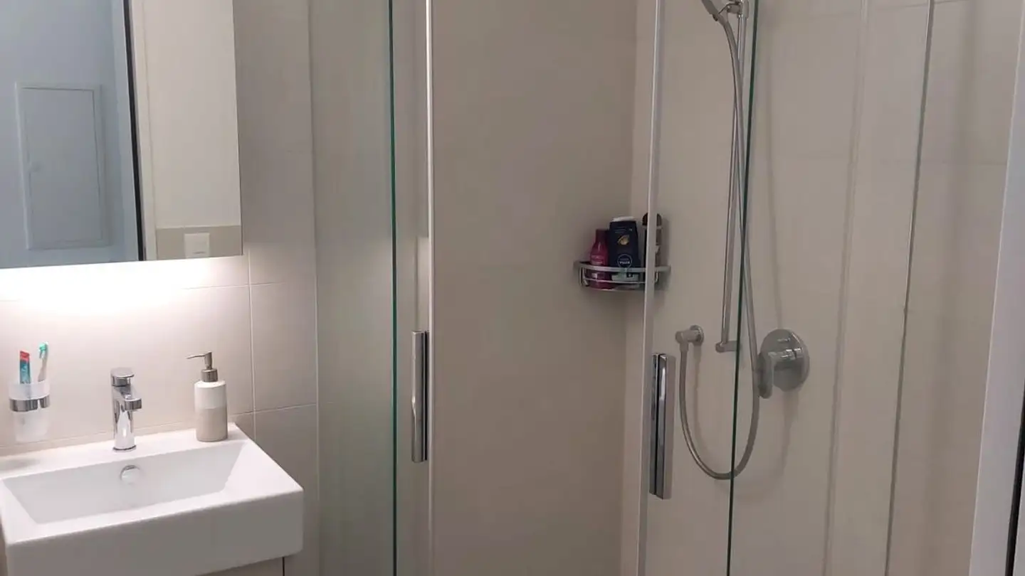 Wohnung mieten - Allmendstrasse 11b, 6048 Horw - Foto 4
