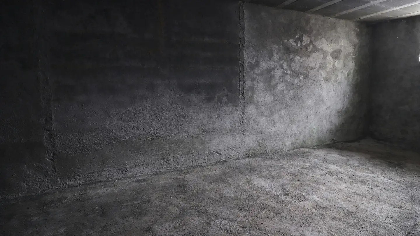 Single house for sale - 1902 Evionnaz - Photo 3