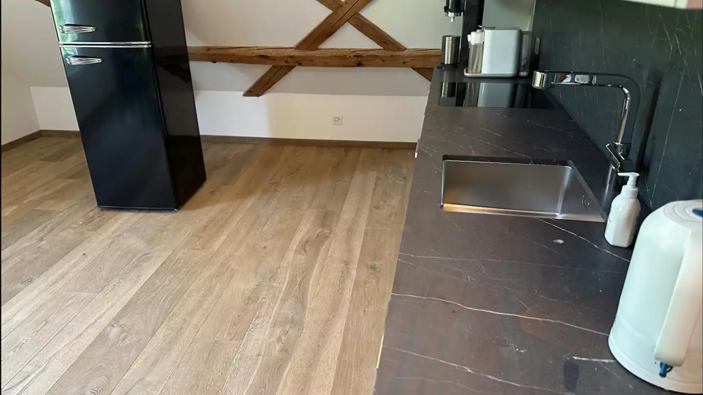 Loft in affitto - Wissenbacherstrasse 14, 8932 Mettmenstetten - Photo 4