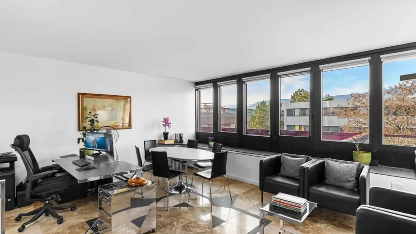 Commerciale in vendita - 1260 Nyon