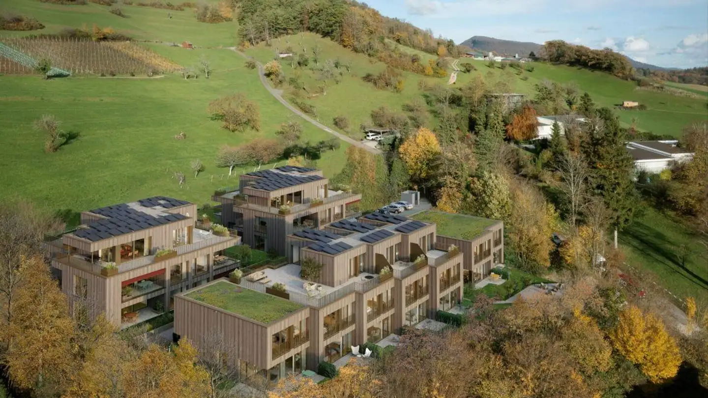 Appartamento in affitto - Maienholz, 5018 Erlinsbach