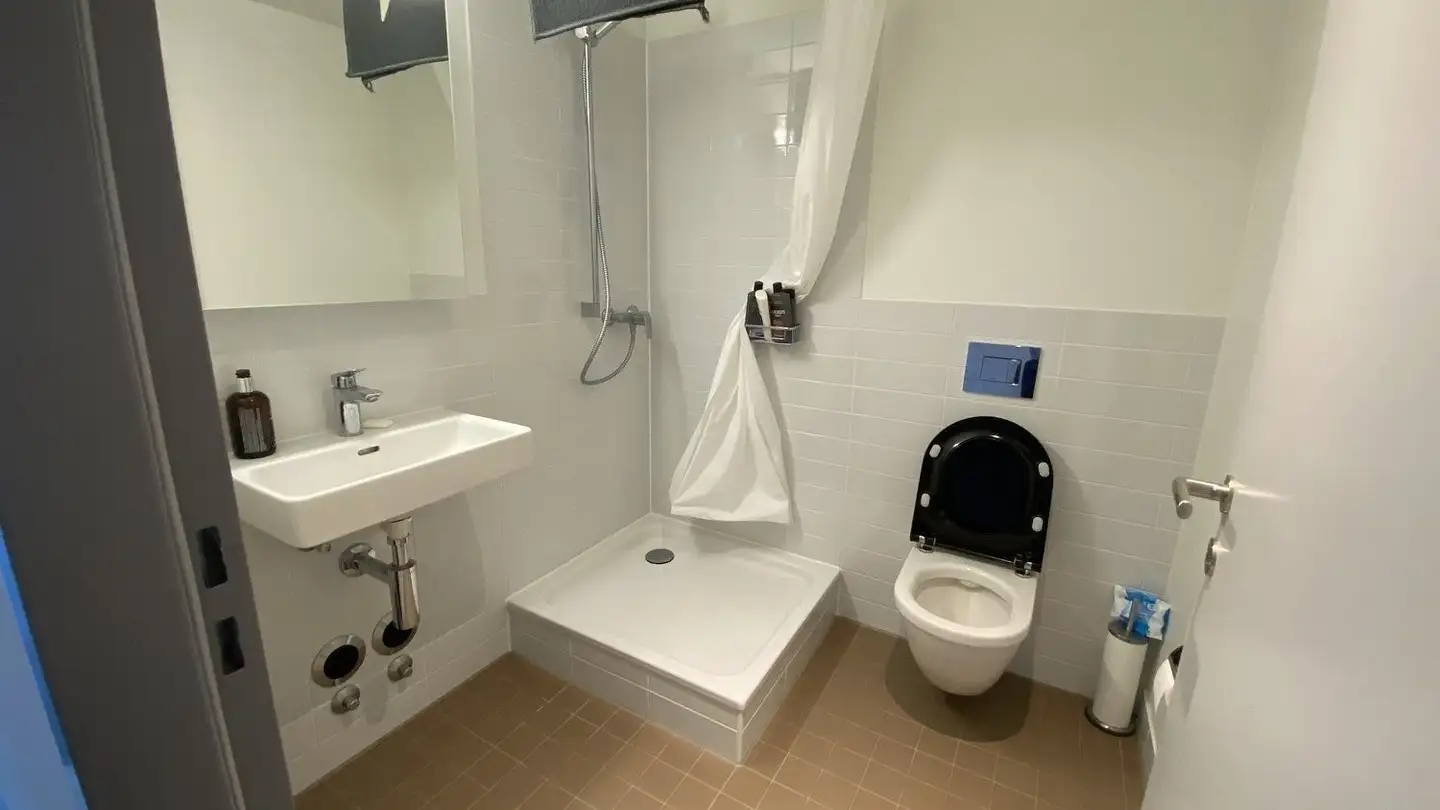 Appartamento in affitto - Uetlibergstrasse 111a, 8045 Zürich - Foto 4