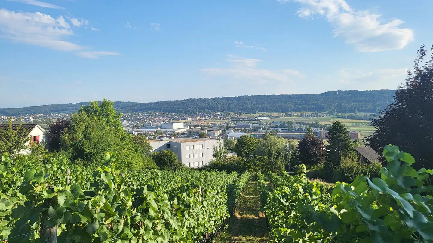 Terreno edificabile in vendita - Rebstrasse, 8107 Buchs ZH