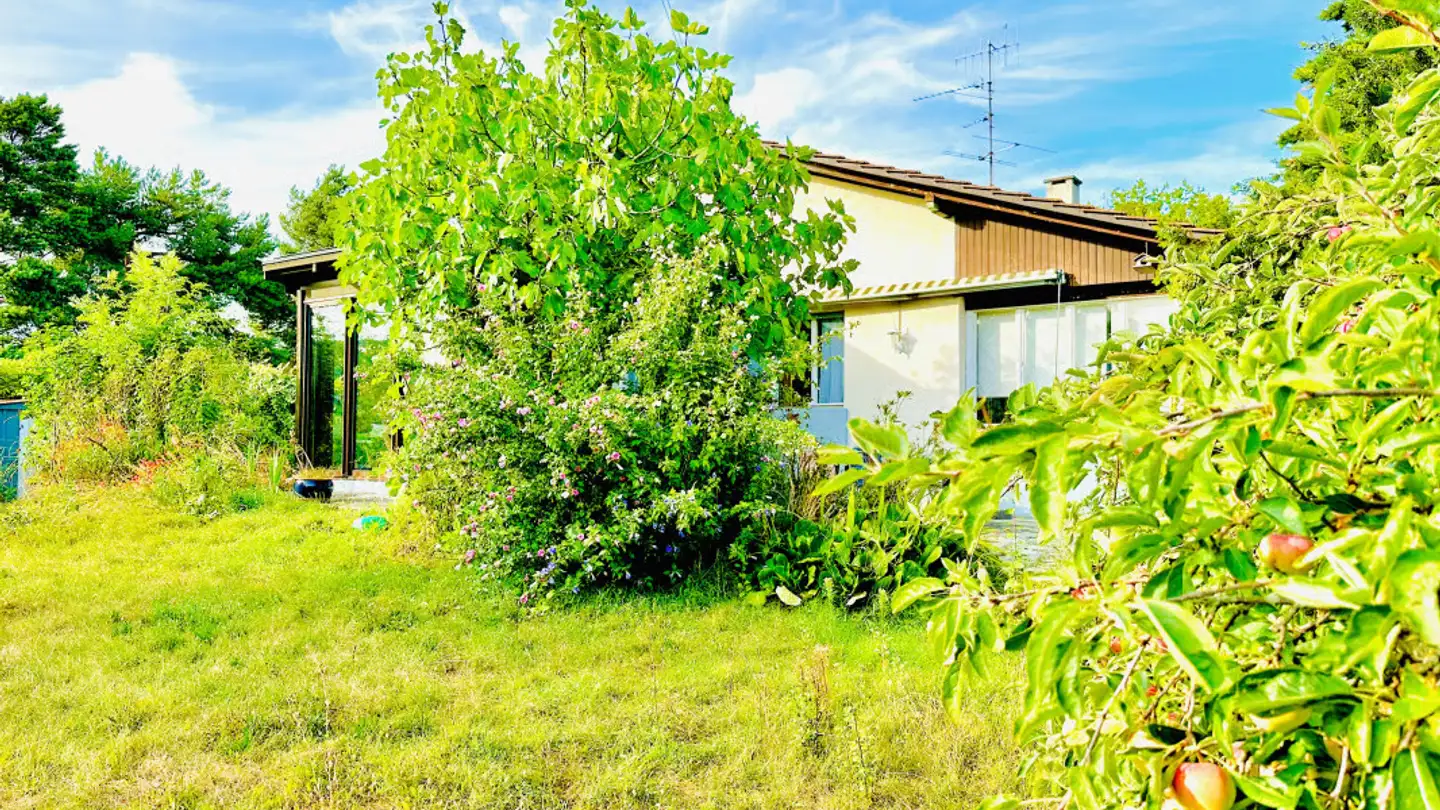 Single house for rent - 1226 Thônex - Photo 3