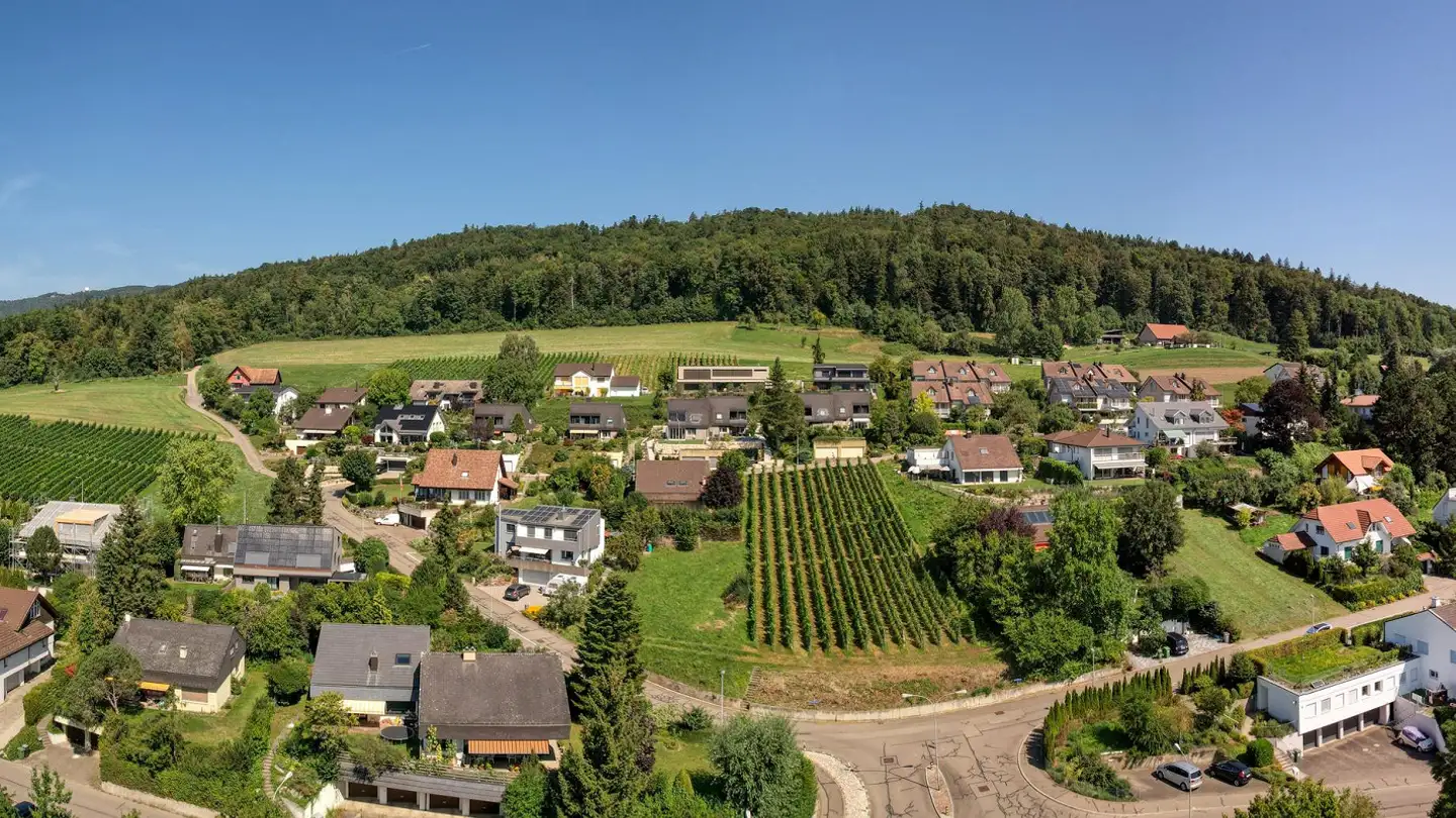 Terreno edificabile in vendita - Rebstrasse, 8107 Buchs ZH - Foto 2