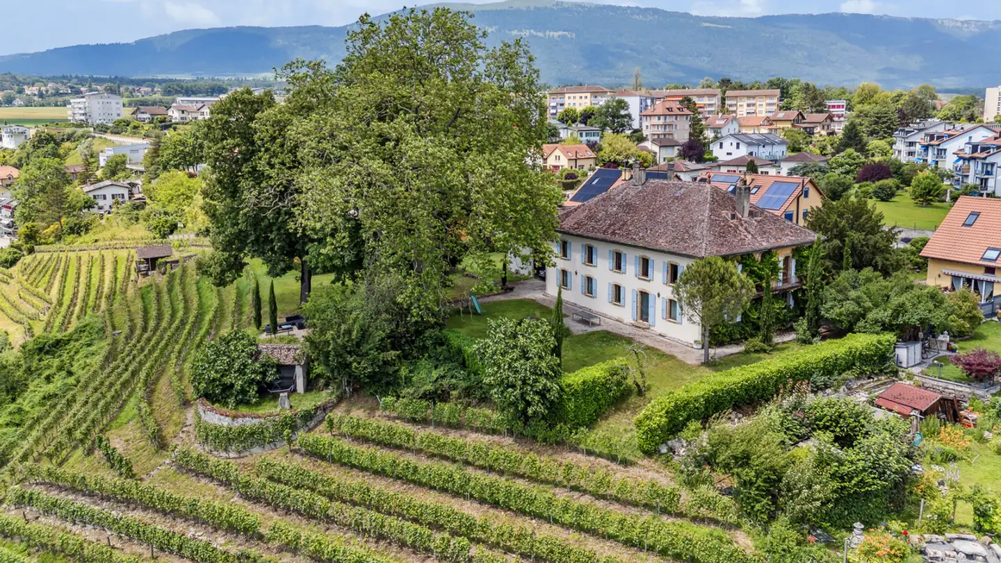 Einfamilienhaus kaufen - 1350 Orbe