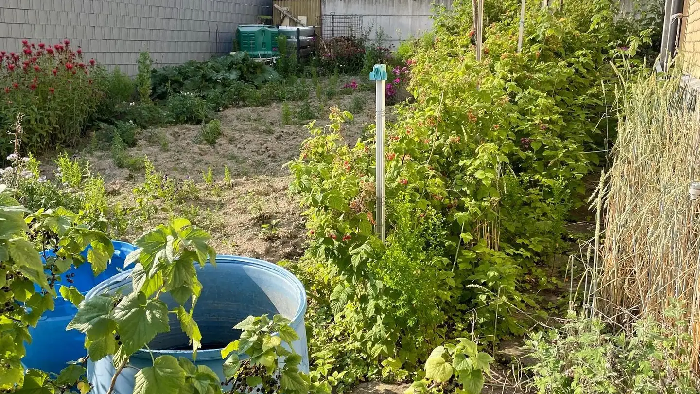 Appartamento in affitto - Kirchhaldenweg 1, 8722 Kaltbrunn - Foto 2