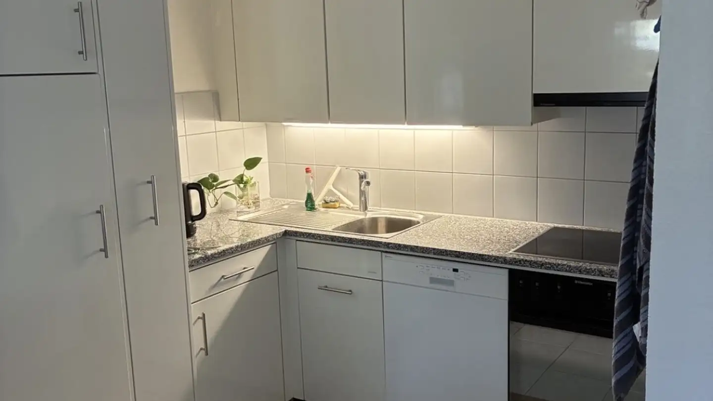 Chambre à louer - Schulstrasse 84, 8952 Schlieren - Photo 2