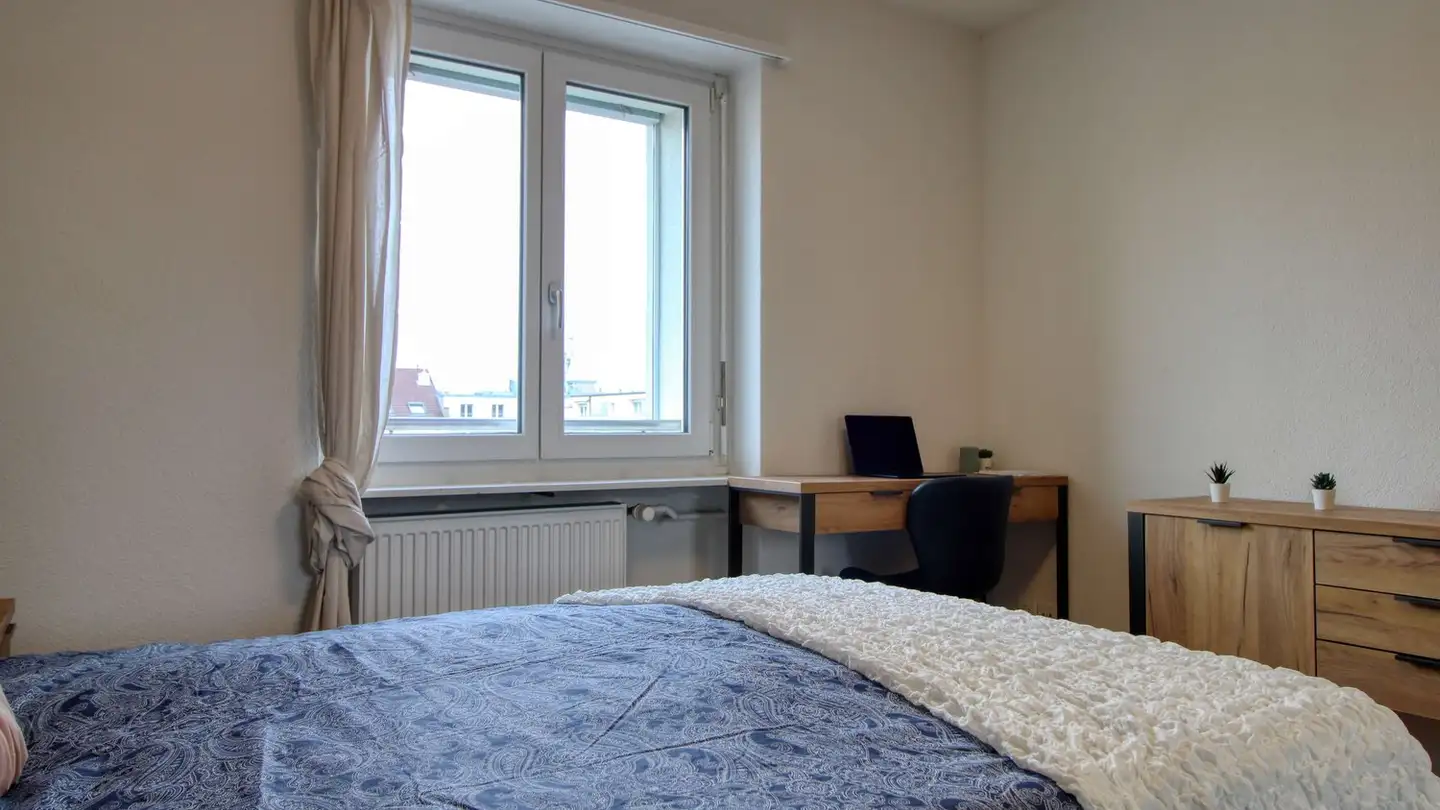 Single room for rent - Davidsbodenstrasse, 4056 Basel - Photo 4