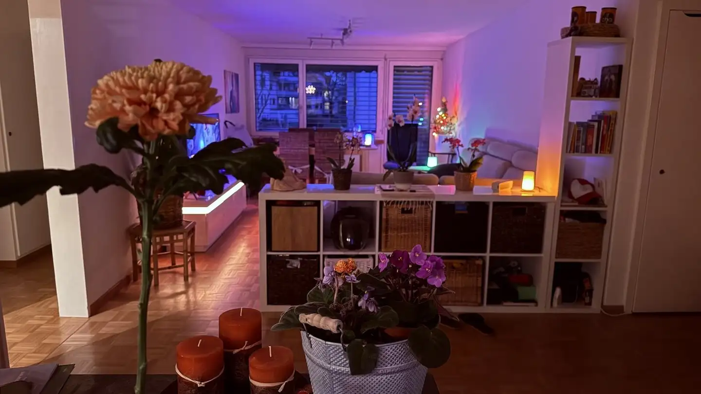 Furnished apartment for rent - 8307 Effretikon - Photo 2
