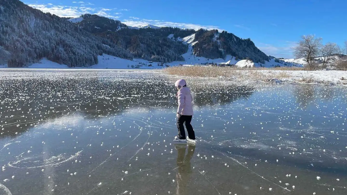 Wohnung kaufen - Sunnhaldenstrasse, 8844 Euthal - Foto 4