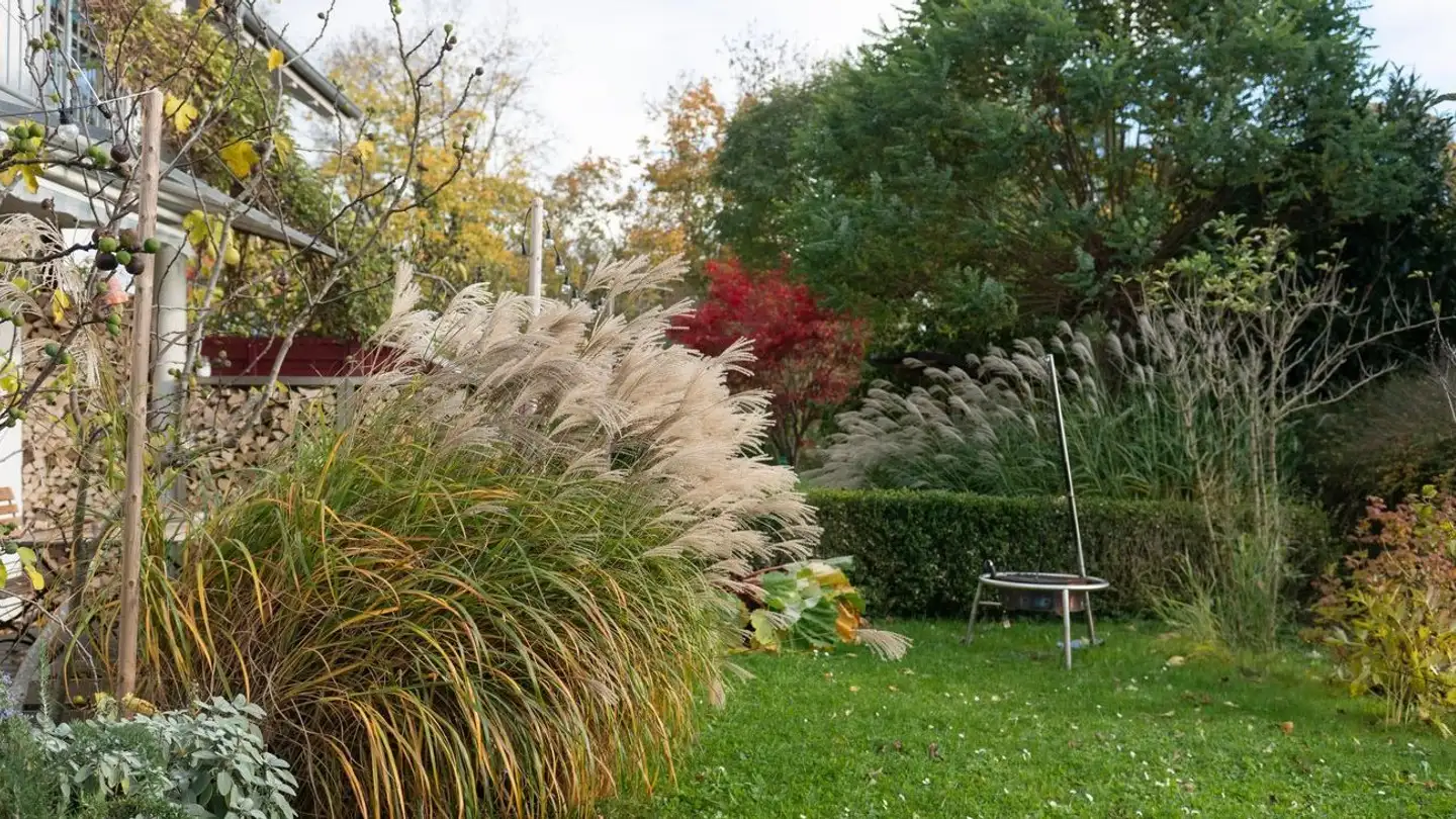 Casa a schiera in vendita - Weissdornstrasse 28, 8447 Dachsen - Photo 2