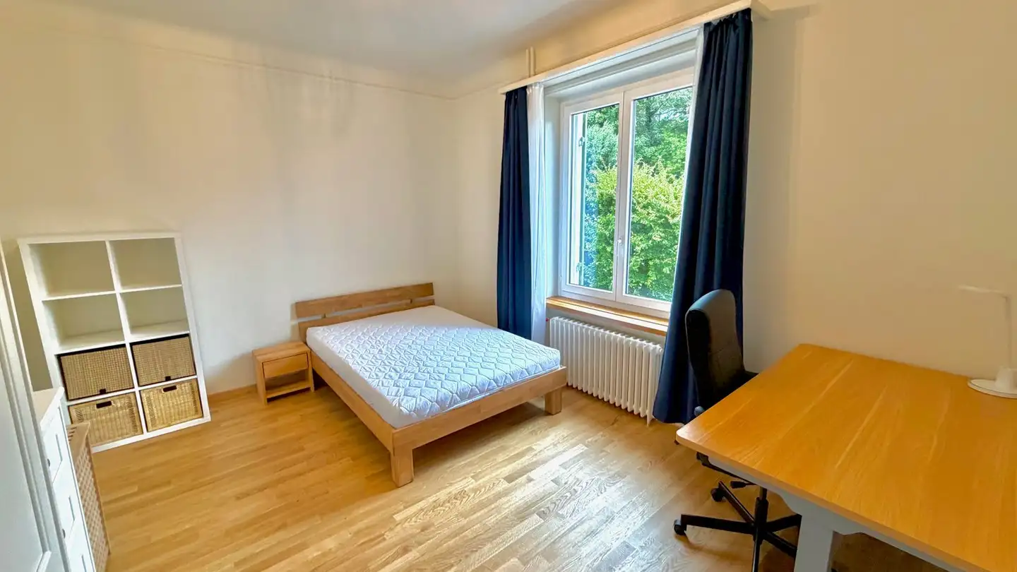 Chambre à louer - Albisstrasse 22, 8038 Zürich - Photo 3
