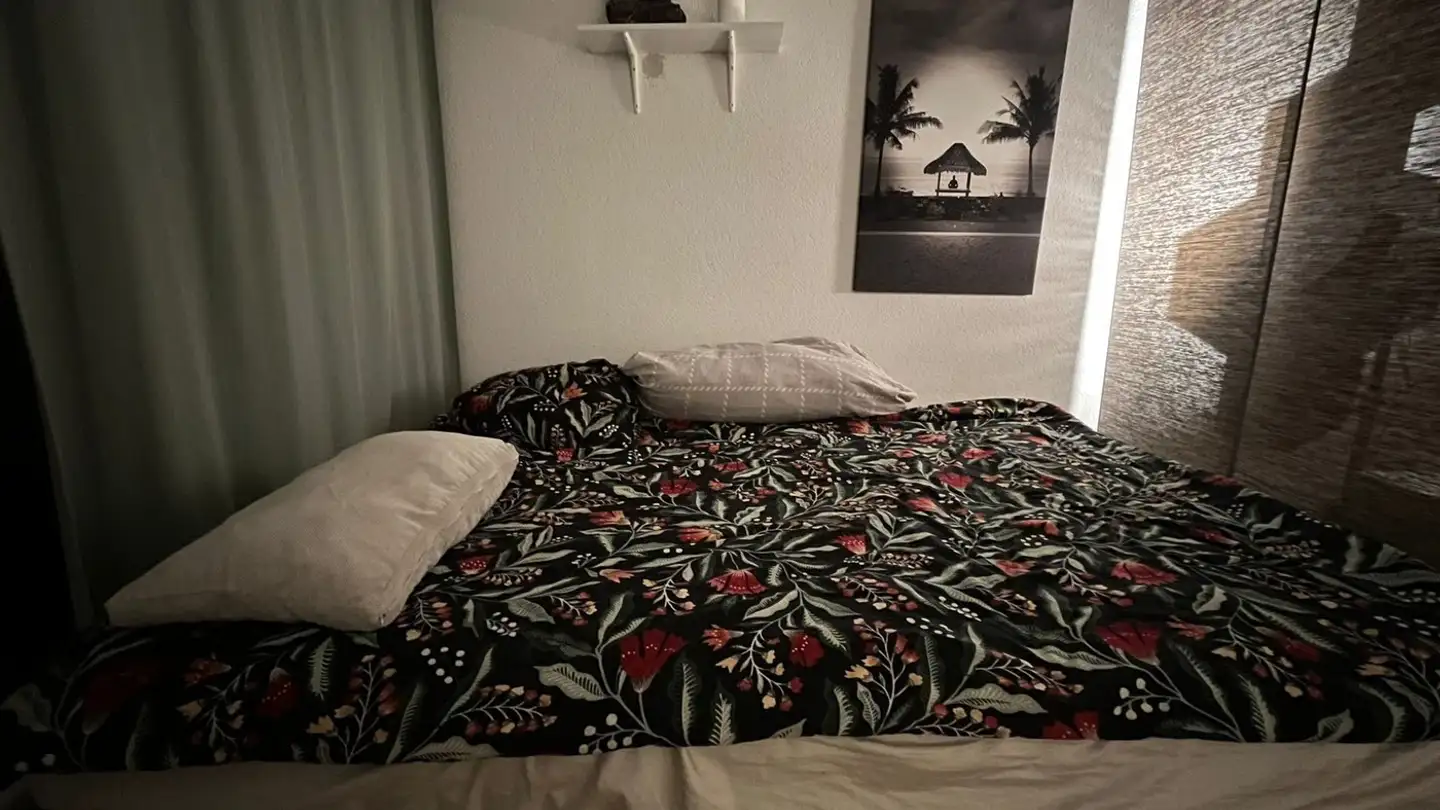 Appartement meublé à louer - Hagenholzstrasse 90, 8050 Zürich - Photo 4